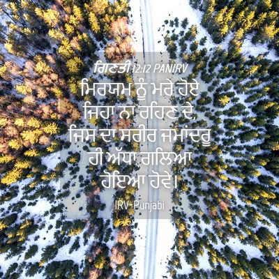 Picture 04 - ਗਿਣਤੀ 12:12 PANIRV - ਮਿਰਯਮ ਨੂੰ ਮਰੇ ਹੋਏ - Bible Verse Picture