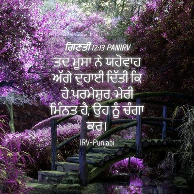 Picture 04 - ਗਿਣਤੀ 12:13 PANIRV - ਤਦ ਮੂਸਾ ਨੇ ਯਹੋਵਾਹ - Bible Verse Picture