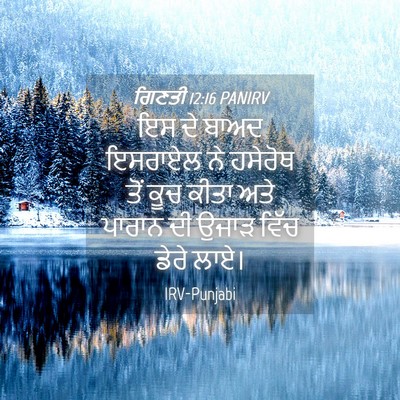 Picture 04 - ਗਿਣਤੀ 12:16 PANIRV - ਇਸ ਦੇ ਬਾਅਦ ਇਸਰਾਏਲ - Bible Verse Picture