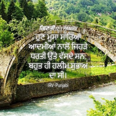 Picture 04 - ਗਿਣਤੀ 12:3 PANIRV - ਹੁਣ ਮੂਸਾ ਸਾਰਿਆਂ - Bible Verse Picture