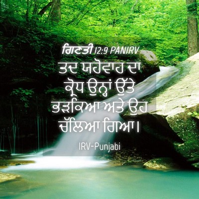 Picture 04 - ਗਿਣਤੀ 12:9 PANIRV - ਤਦ ਯਹੋਵਾਹ ਦਾ ਕ੍ਰੋਧ - Bible Verse Picture
