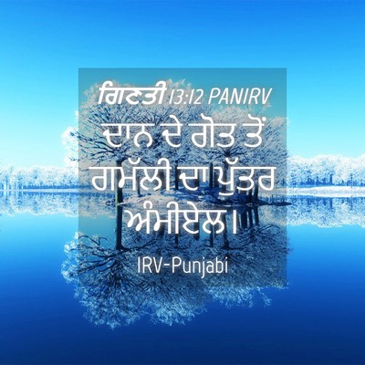 Picture 04 - ਗਿਣਤੀ 13:12 PANIRV - ਦਾਨ ਦੇ ਗੋਤ ਤੋਂ - Bible Verse Picture