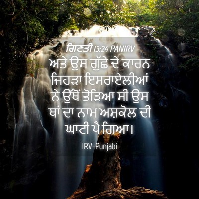 Picture 04 - ਗਿਣਤੀ 13:24 PANIRV - ਅਤੇ ਉਸ ਗੁੱਛੇ ਦੇ - Bible Verse Picture