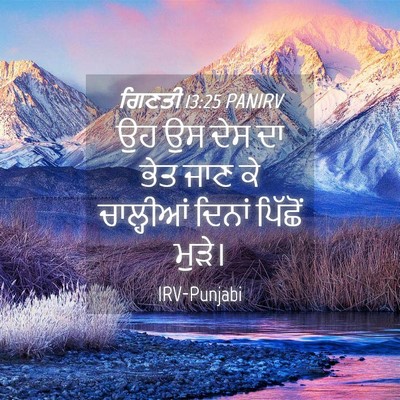 Picture 04 - ਗਿਣਤੀ 13:25 PANIRV - ਉਹ ਉਸ ਦੇਸ ਦਾ ਭੇਤ - Bible Verse Picture