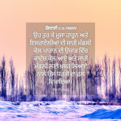 Picture 04 - ਗਿਣਤੀ 13:26 PANIRV - ਉਹ ਤੁਰ ਕੇ ਮੂਸਾ - Bible Verse Picture