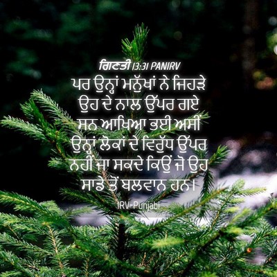 Picture 04 - ਗਿਣਤੀ 13:31 PANIRV - ਪਰ ਉਨ੍ਹਾਂ ਮਨੁੱਖਾਂ - Bible Verse Picture