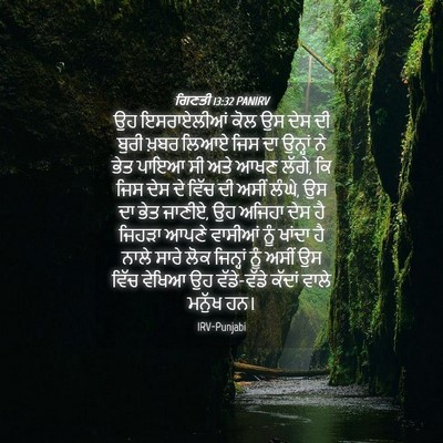 Picture 04 - ਗਿਣਤੀ 13:32 PANIRV - ਉਹ ਇਸਰਾਏਲੀਆਂ ਕੋਲ - Bible Verse Picture