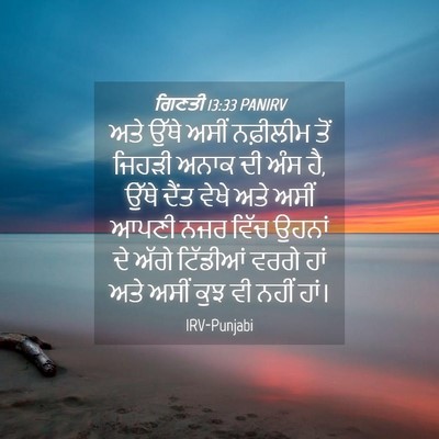 Picture 04 - ਗਿਣਤੀ 13:33 PANIRV - ਅਤੇ ਉੱਥੇ ਅਸੀਂ - Bible Verse Picture