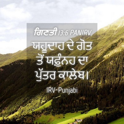 Picture 04 - ਗਿਣਤੀ 13:6 PANIRV - ਯਹੂਦਾਹ ਦੇ ਗੋਤ ਤੋਂ - Bible Verse Picture