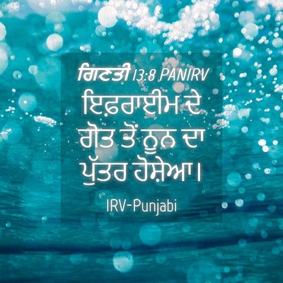 Picture 04 - ਗਿਣਤੀ 13:8 PANIRV - ਇਫ਼ਰਾਈਮ ਦੇ ਗੋਤ ਤੋਂ - Bible Verse Picture