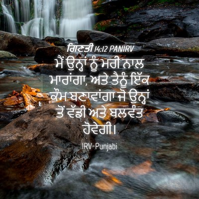 Picture 04 - ਗਿਣਤੀ 14:12 PANIRV - ਮੈਂ ਉਨ੍ਹਾਂ ਨੂੰ ਮਰੀ - Bible Verse Picture