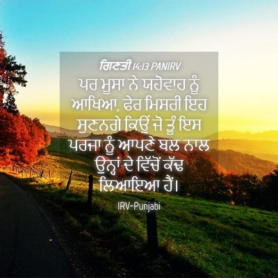 Picture 04 - ਗਿਣਤੀ 14:13 PANIRV - ਪਰ ਮੂਸਾ ਨੇ ਯਹੋਵਾਹ - Bible Verse Picture