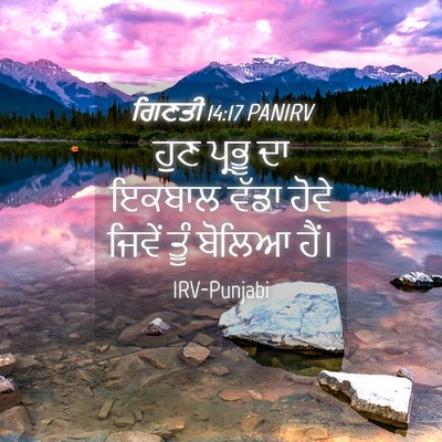 Picture 04 - ਗਿਣਤੀ 14:17 PANIRV - ਹੁਣ ਪ੍ਰਭੂ ਦਾ ਇਕਬਾਲ - Bible Verse Picture