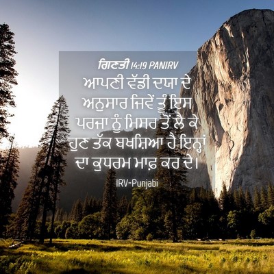 Picture 04 - ਗਿਣਤੀ 14:19 PANIRV - ਆਪਣੀ ਵੱਡੀ ਦਯਾ ਦੇ - Bible Verse Picture