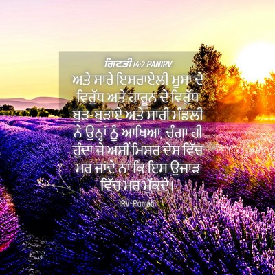 Picture 04 - ਗਿਣਤੀ 14:2 PANIRV - ਅਤੇ ਸਾਰੇ ਇਸਰਾਏਲੀ - Bible Verse Picture