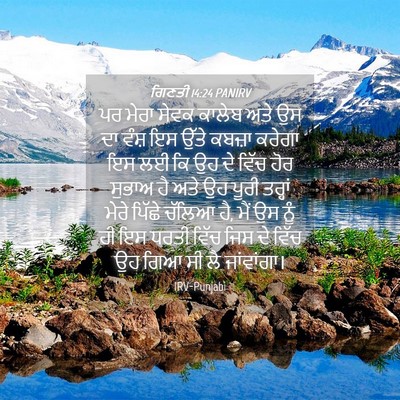 Picture 04 - ਗਿਣਤੀ 14:24 PANIRV - ਪਰ ਮੇਰਾ ਸੇਵਕ ਕਾਲੇਬ - Bible Verse Picture