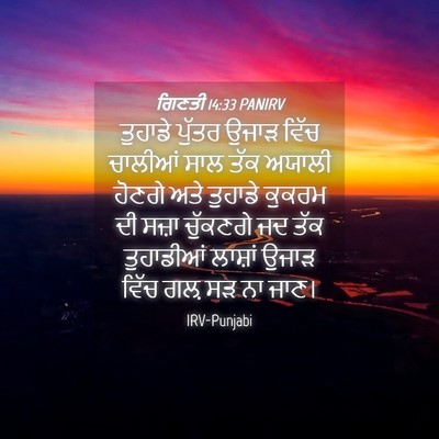 Picture 04 - ਗਿਣਤੀ 14:33 PANIRV - ਤੁਹਾਡੇ ਪੁੱਤਰ ਉਜਾੜ - Bible Verse Picture