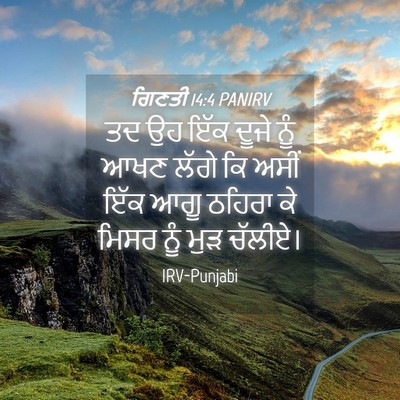 Picture 04 - ਗਿਣਤੀ 14:4 PANIRV - ਤਦ ਉਹ ਇੱਕ ਦੂਜੇ ਨੂੰ - Bible Verse Picture