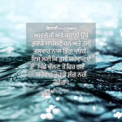 Picture 04 - ਗਿਣਤੀ 14:43 PANIRV - ਅਮਾਲੇਕੀ ਅਤੇ ਕਨਾਨੀ - Bible Verse Picture