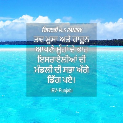 Picture 04 - ਗਿਣਤੀ 14:5 PANIRV - ਤਦ ਮੂਸਾ ਅਤੇ ਹਾਰੂਨ - Bible Verse Picture