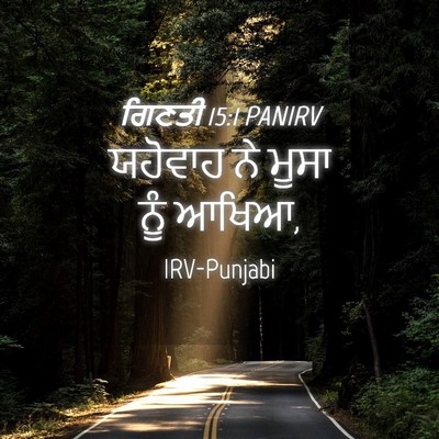Picture 04 - ਗਿਣਤੀ 15:1 PANIRV - ਯਹੋਵਾਹ ਨੇ ਮੂਸਾ ਨੂੰ - Bible Verse Picture