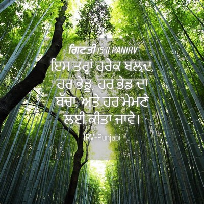 Picture 04 - ਗਿਣਤੀ 15:11 PANIRV - ਇਸ ਤਰ੍ਹਾਂ ਹਰੇਕ - Bible Verse Picture