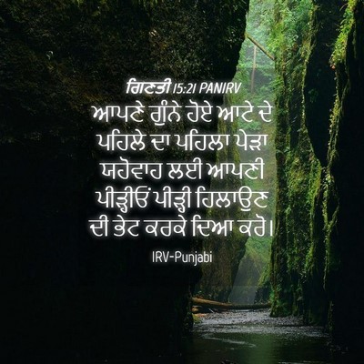 Picture 04 - ਗਿਣਤੀ 15:21 PANIRV - ਆਪਣੇ ਗੁੰਨੇ ਹੋਏ ਆਟੇ - Bible Verse Picture