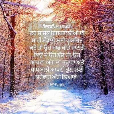 Picture 04 - ਗਿਣਤੀ 15:25 PANIRV - ਫੇਰ ਜਾਜਕ - Bible Verse Picture
