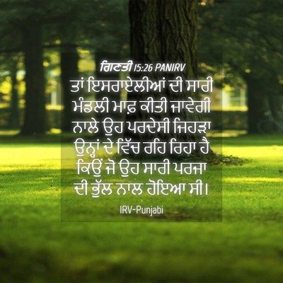 Picture 04 - ਗਿਣਤੀ 15:26 PANIRV - ਤਾਂ ਇਸਰਾਏਲੀਆਂ ਦੀ - Bible Verse Picture