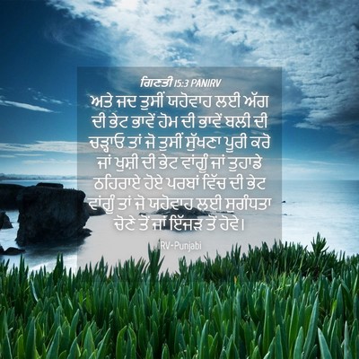 Picture 04 - ਗਿਣਤੀ 15:3 PANIRV - ਅਤੇ ਜਦ ਤੁਸੀਂ - Bible Verse Picture