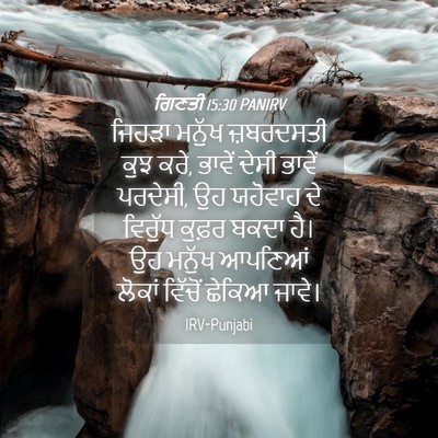 Picture 04 - ਗਿਣਤੀ 15:30 PANIRV - ਜਿਹੜਾ ਮਨੁੱਖ - Bible Verse Picture