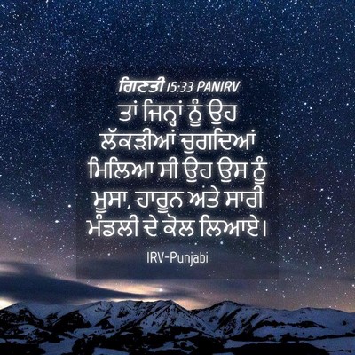 Picture 04 - ਗਿਣਤੀ 15:33 PANIRV - ਤਾਂ ਜਿਨ੍ਹਾਂ ਨੂੰ ਉਹ - Bible Verse Picture