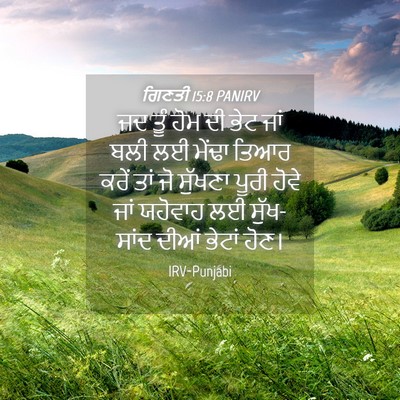 Picture 04 - ਗਿਣਤੀ 15:8 PANIRV - ਜਦ ਤੂੰ ਹੋਮ ਦੀ ਭੇਟ - Bible Verse Picture