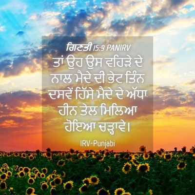 Picture 04 - ਗਿਣਤੀ 15:9 PANIRV - ਤਾਂ ਉਹ ਉਸ ਵਹਿੜੇ ਦੇ - Bible Verse Picture