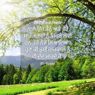 Picture 04 - ਗਿਣਤੀ 16:10 PANIRV - ਨਾਲੇ ਉਹ ਤੈਨੂੰ ਅਤੇ - Bible Verse Picture