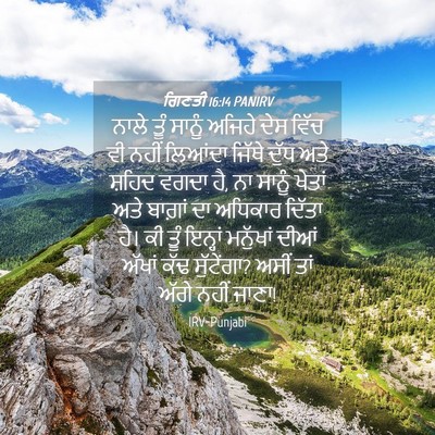 Picture 04 - ਗਿਣਤੀ 16:14 PANIRV - ਨਾਲੇ ਤੂੰ ਸਾਨੂੰ - Bible Verse Picture