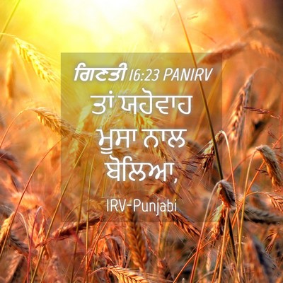 Picture 04 - ਗਿਣਤੀ 16:23 PANIRV - ਤਾਂ ਯਹੋਵਾਹ ਮੂਸਾ - Bible Verse Picture