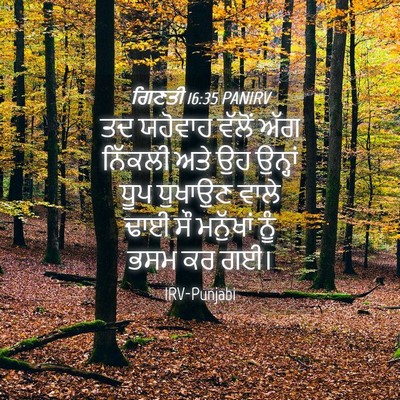 Picture 04 - ਗਿਣਤੀ 16:35 PANIRV - ਤਦ ਯਹੋਵਾਹ ਵੱਲੋਂ - Bible Verse Picture