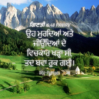Picture 04 - ਗਿਣਤੀ 16:48 PANIRV - ਉਹ ਮੁਰਦਿਆਂ ਅਤੇ - Bible Verse Picture