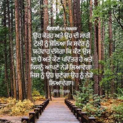 Picture 04 - ਗਿਣਤੀ 16:5 PANIRV - ਉਹ ਕੋਰਹ ਅਤੇ ਉਹ ਦੀ - Bible Verse Picture