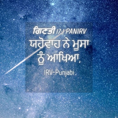 Picture 04 - ਗਿਣਤੀ 17:1 PANIRV - ਯਹੋਵਾਹ ਨੇ ਮੂਸਾ ਨੂੰ - Bible Verse Picture