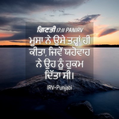 Picture 04 - ਗਿਣਤੀ 17:11 PANIRV - ਮੂਸਾ ਨੇ ਉਸੇ ਤਰ੍ਹਾਂ - Bible Verse Picture