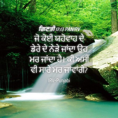 Picture 04 - ਗਿਣਤੀ 17:13 PANIRV - ਜੋ ਕੋਈ ਯਹੋਵਾਹ ਦੇ - Bible Verse Picture