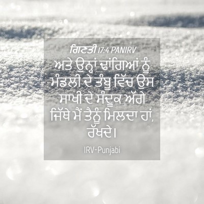 Picture 04 - ਗਿਣਤੀ 17:4 PANIRV - ਅਤੇ ਉਨ੍ਹਾਂ - Bible Verse Picture