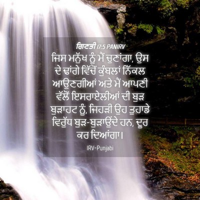 Picture 04 - ਗਿਣਤੀ 17:5 PANIRV - ਜਿਸ ਮਨੁੱਖ ਨੂੰ ਮੈਂ - Bible Verse Picture