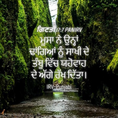 Picture 04 - ਗਿਣਤੀ 17:7 PANIRV - ਮੂਸਾ ਨੇ ਉਨ੍ਹਾਂ - Bible Verse Picture