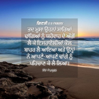 Picture 04 - ਗਿਣਤੀ 17:9 PANIRV - ਤਦ ਮੂਸਾ ਉਹਨਾਂ - Bible Verse Picture