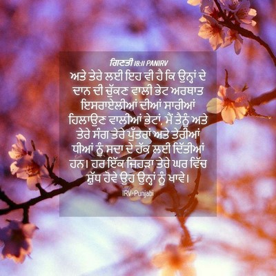 Picture 04 - ਗਿਣਤੀ 18:11 PANIRV - ਅਤੇ ਤੇਰੇ ਲਈ ਇਹ ਵੀ - Bible Verse Picture
