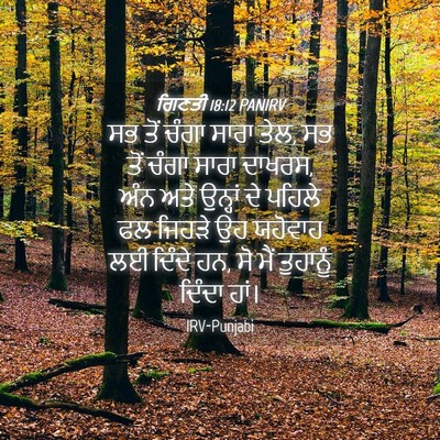 Picture 04 - ਗਿਣਤੀ 18:12 PANIRV - ਸਭ ਤੋਂ ਚੰਗਾ ਸਾਰਾ - Bible Verse Picture