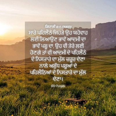 Picture 04 - ਗਿਣਤੀ 18:15 PANIRV - ਸਾਰੇ ਪਹਿਲੌਠੇ - Bible Verse Picture